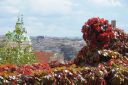 Praga